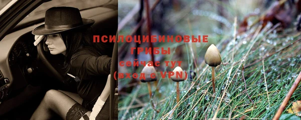 прущий лед Алексин